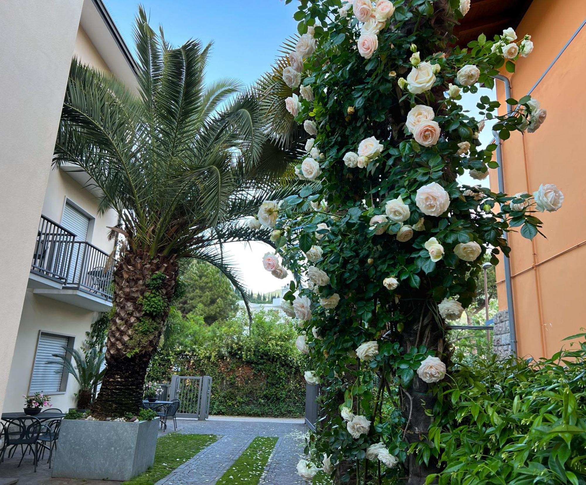 Villa Phoenix - Lake Apartments Riva del Garda Exteriér fotografie